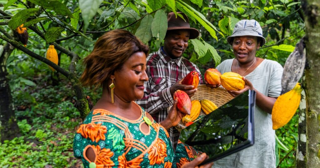 African Legacy News - Driving Africa’s Agribusiness Empowerment in West Africa 1