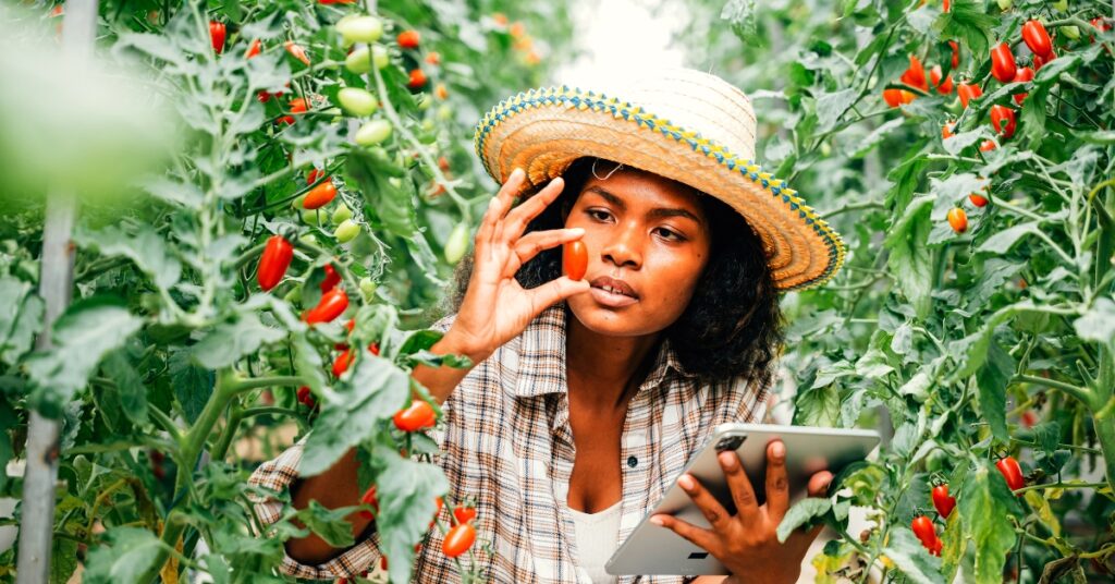 African Legacy News - Driving Africa’s Agribusiness Empowerment in West Africa 3
