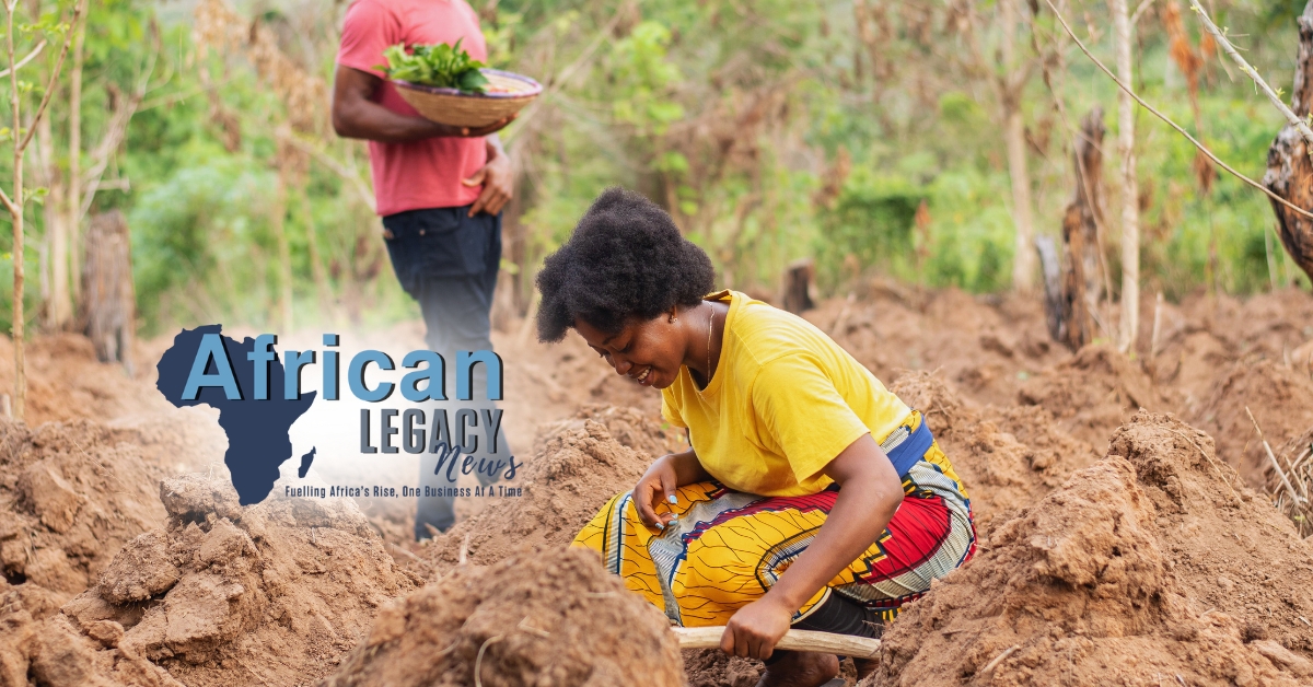 African Legacy News – Driving Africa’s Agribusiness Empowerment in West Africa Feature African Legacy News - Driving Africa’s Agribusiness Empowerment in West Africa Feature