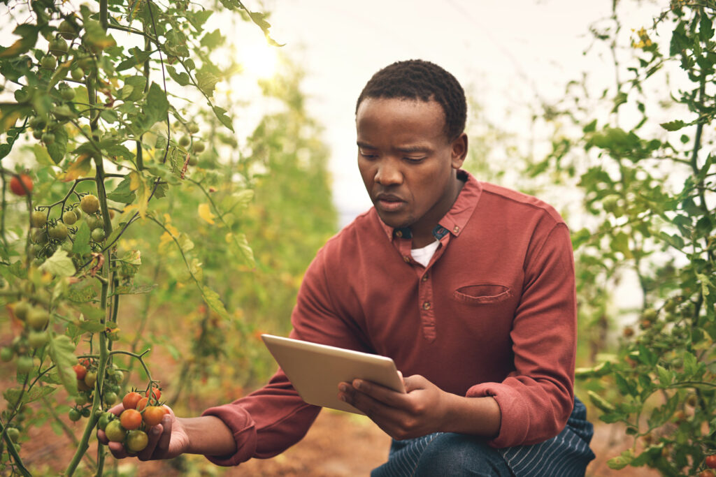 How Malawi’s Farmers Are Using AI to Weather Climate Shocks