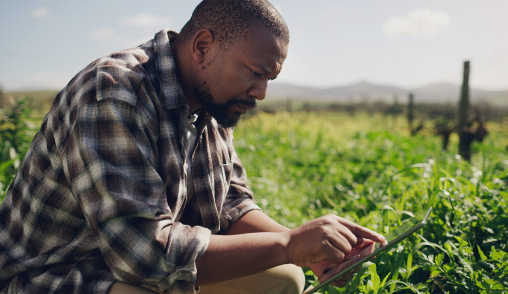 How Malawi’s Farmers Are Using AI to Weather Climate Shocks