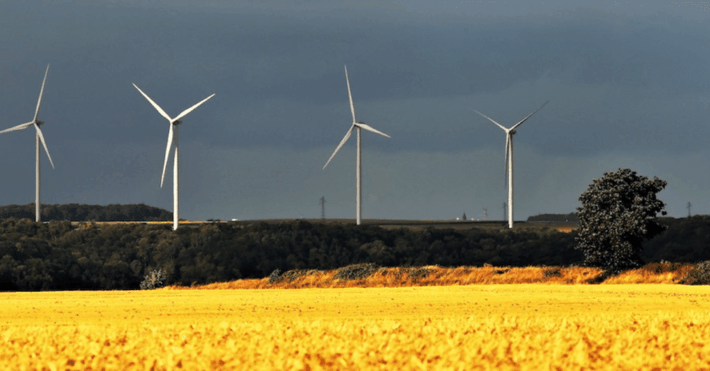 From Coal to Wind Mpumalanga’s Energy Transformation (3)