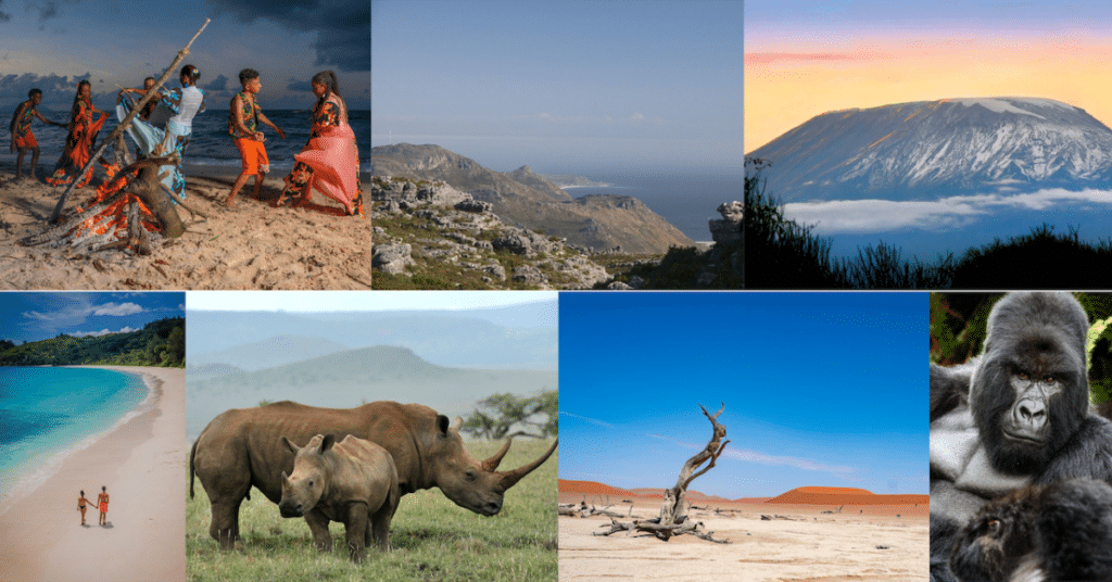 African Legacy News - Africa Is Reclaiming the World’s Imagination and the Numbers Support It