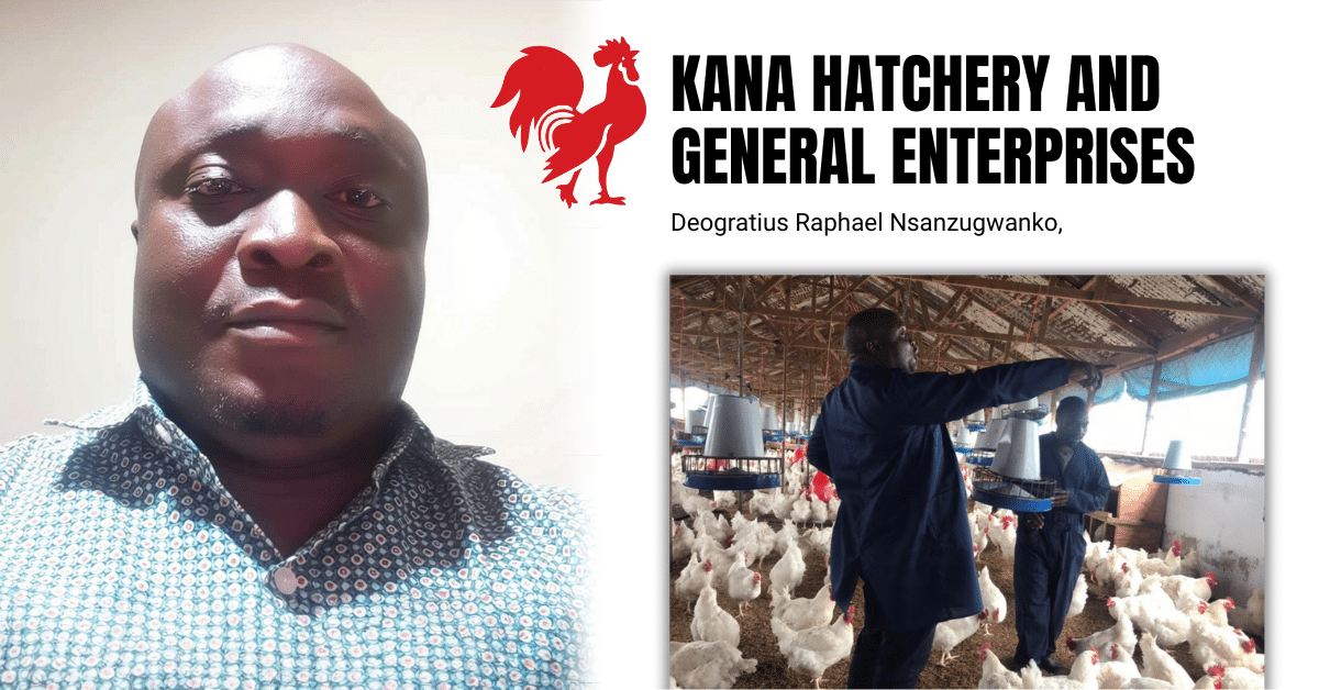 African Legacy News - Made In Africa - News Feature Blog - Kana Hatcheries3